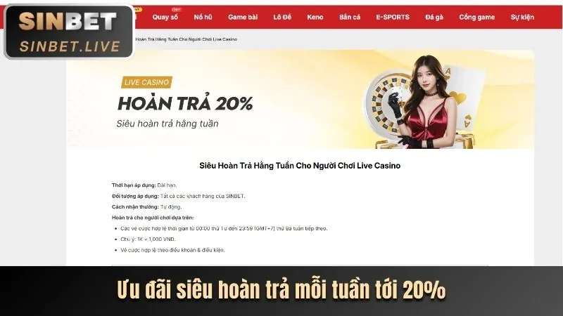 Thông báo về Khuyến mãi và Ưu đãi mới